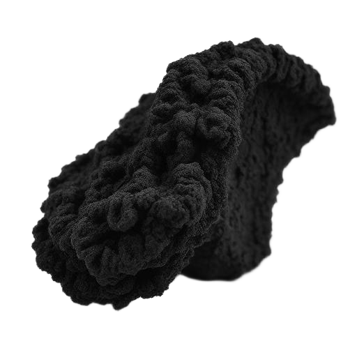 Chaga
